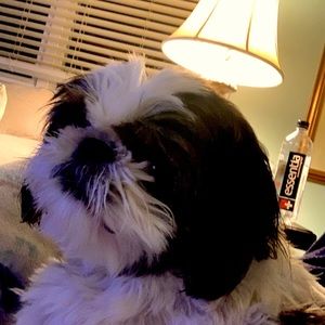 Meet your Posher, Donna